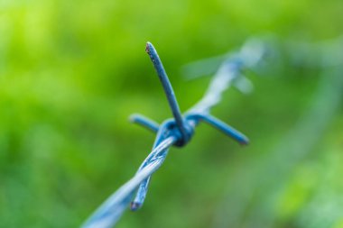 dikenli telleri olan bir güvenlik çitinin yakın plan görüntüsü..