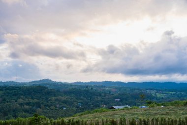 Yoğun ağaçlarla kaplı yuvarlanan tepeler ufuk boyunca uzanıyor, derinlik ve doğal güzellik hissi yaratıyor. Üzerimizdeki bulutlar kalın ama yine de biraz güneş ışığının geçmesine izin veriyoruz..