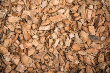 Bahçenizi sağlıklı bitkilerin büyümesini sağlayan bu doğal malçla büyütün..