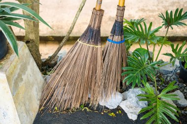 Doğal malzemelerden yapılan iki geleneksel el yapımı süpürge, yemyeşil bitki ve kayalarla çevrili bir bahçedeki bir ağaca yaslanıyor. Sahne çevre dostu ve kırsal bahçe araçlarını vurguluyor.
