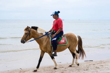 Huzurlu bir at gezisi, sakin bir plaj ve bulutlu bir gökyüzü. Görüntü, sahil şeridi boyunca sürmenin uyumunu yakalıyor..
