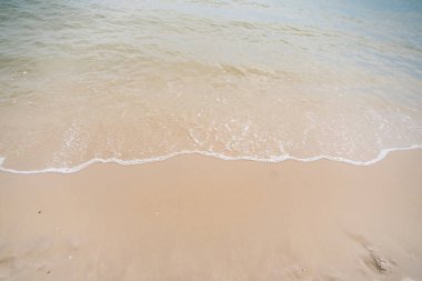 Yumuşak dalgalar kumlu bir kıyıya vurur, huzurlu ve huzurlu bir sahil manzarası yaratır..