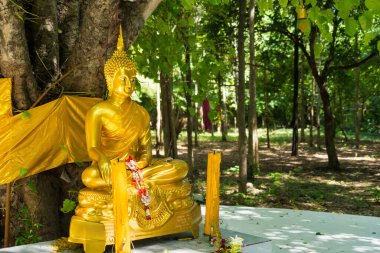 Bir Bodhi ağacının altına yerleştirilmiş altın Buda heykelinin huzurlu ve huzurlu bir sahnesi. Heykel yemyeşil ile çevrili, huzurlu ve ruhani bir atmosfer yaratıyor..