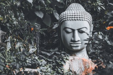 Lop Buri, Tayland - 20 Eylül 2024: Lop Buri, Tayland Yeşil Kucağında Buda.