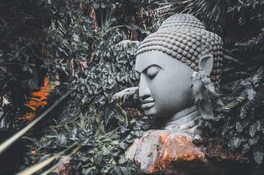 Lop Buri, Tayland - 20 Eylül 2024: Lop Buri, Tayland Yeşil Kucağında Buda.