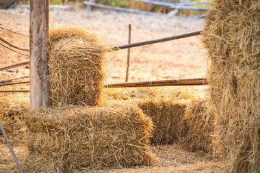 Bu resim, hasat zamanının bolluğunu simgeleyen kullanılmaya hazır saman balyalarını gösteriyor..