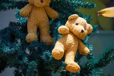 Nonthaburii, Tayland - 24 Haziran 2024: Nonthaburii, Tayland 'da Tatile Hazır Oyuncak Ayı.