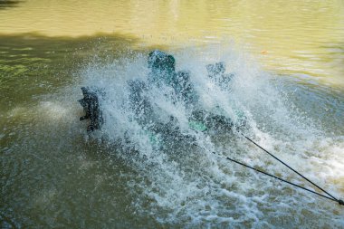 Havacıların, etkili atık su yönetimi ve tedavi göletlerinde ekolojik dengenin geliştirilmesi için gerekli olan oksijenli sulardaki hayati rolünü araştırın.