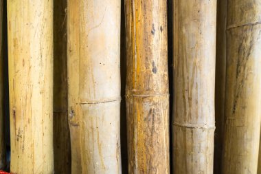 Bambu saplarından oluşan güzel desenler doğanın sanatsal esinlenmeler için uygun dikey bir şekilde sanatını temsil ediyor..