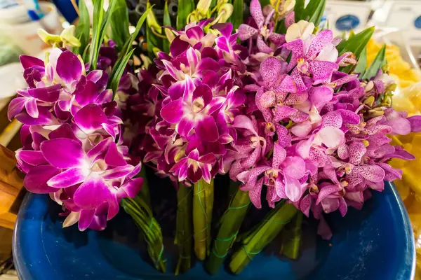Mor ve pembe renkte taze orkideler bir markette satılığa çıkarıldı..