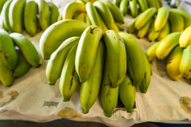Hareketli bir yerel pazarda canlı bir yeşil muz gösterisi, olgunluğa geçişlerini gözler önüne seriyor. Gıda ve piyasa temalı projeler için mükemmel.