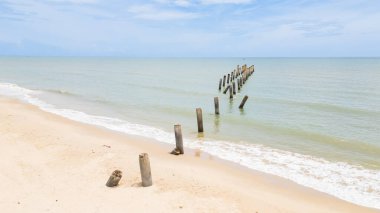 Sakin sulardan çıkan eski direklerle sahilin dinginliğini keşfetmek, meditasyon, fotoğrafçılık ya da doğanın güzelliğinin tadını çıkarmak için mükemmel bir zemin hazırlamak..