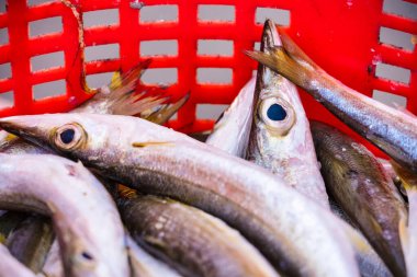 Açık deniz ürünleri pazarında sergilenen taze gümüş balıklarla dolu bir sepet. Canlı renkler kıyı ticaret kültürünün canlı atmosferini yansıtıyor..