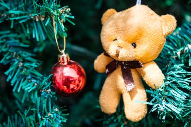 Altın kurdele ve canlı kırmızı mücevherlerle süslenmiş bir Noel ağacında asılı duran yumuşak kahverengi oyuncak ayı süsü. Bayram dekoruna sıcaklık ve cazibe katıyor..