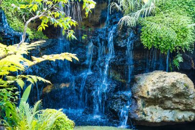 Bereketli bitki örtüsüyle çevrili manzaralı bir şelale onu doğa severler için rüya gibi bir yer yapıyor..