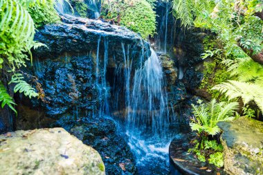 Bereketli bitki örtüsüyle çevrili manzaralı bir şelale onu doğa severler için rüya gibi bir yer yapıyor..