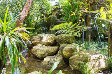 Bereketli bitki örtüsüyle çevrili manzaralı bir şelale onu doğa severler için rüya gibi bir yer yapıyor..