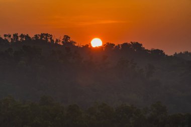 Puslu Orman Tepelerinin Üzerinde Altın Gün Doğumu: Doğanın Görkemli Yüzeyinde Huzurlu Bir Sabah Manzarası
