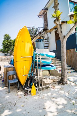 Rayong, Tayland - Nisan 01, 2025 Güneşli bir günde açık sarı kanolar ve renkli kürek tahtaları
