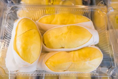 Temiz bir plastik kabın içine yerleştirilmiş durian meyvesinin yakın çekimi, parlak sarı et ve beyaz yenilebilir tohumlar sergiliyor.