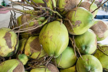 Doğal bir tropikal meyve hasadı görüntüsü sunan fibröz kabuklu ve saplı taze hindistan cevizi yığını.