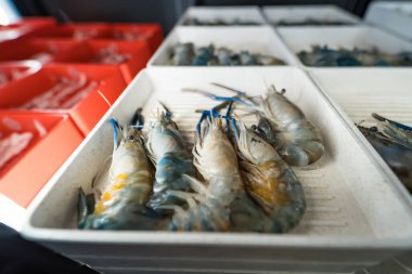 Deniz ürünleri pazarındaki beyaz tepside sunulan taze çiğ karidesler detaylarına ve canlı renklerine odaklanıyor.