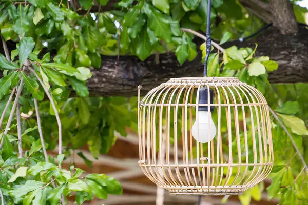 İki bambu fener açık havada, yemyeşil bir dağ zemininde asılı. Huzurlu ve doğal bir ortam yaratıyor.