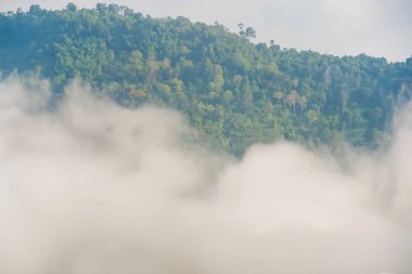 Bereketli yeşil orman dağları sisli bir sabahta yoğun beyaz bir sis örtüsüyle kısmen gizlenmiş.