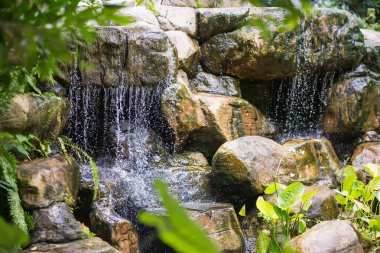 Bereketli yeşil yapraklarla çevrili kayalık taşların üzerinde şelale gibi akan sakin bir şelale.