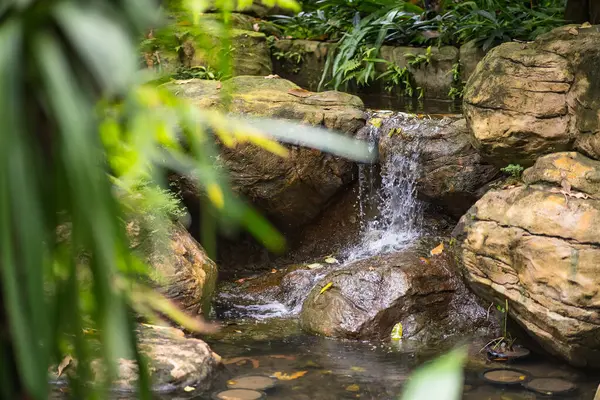 Bereketli yeşil yapraklarla çevrili kayalık taşların üzerinde şelale gibi akan sakin bir şelale.