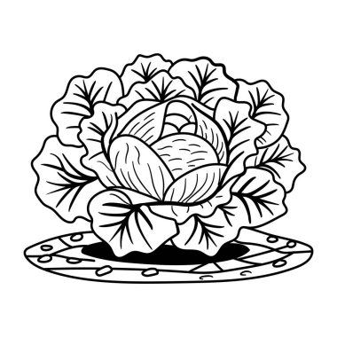 Taze lahana elle çizilmiş.