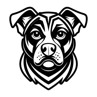 Siyah köpek kafası ve büyük gözleri.