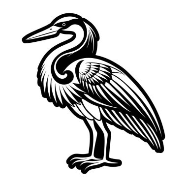 pelikan, kuş, vektör, illüstrasyon, siyah beyaz