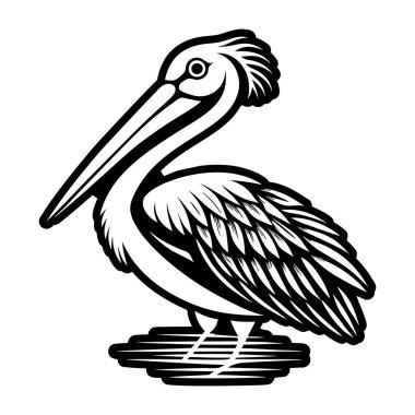 Pelikan kuşunun vektör illüstrasyonu.