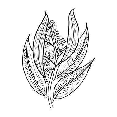 İzole çiçek dekorasyon