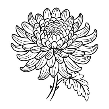 Çiçek ve yapraklarla çizilmiş vektör eli