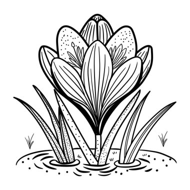 Vazodaki zambak çiçeği. vektör illüstrasyonu.