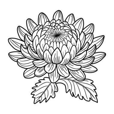 Davetiye kartı için güzel çiçeklerin vektör çizimi