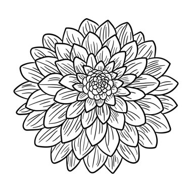 Güzel çiçekli mandala. vektör illüstrasyonu.