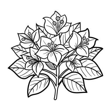 Kartpostal ve davetiye için güzel çiçek süslerinin vektör çizimi.