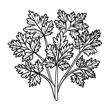 Çiçeklerin vektör el çizimi.