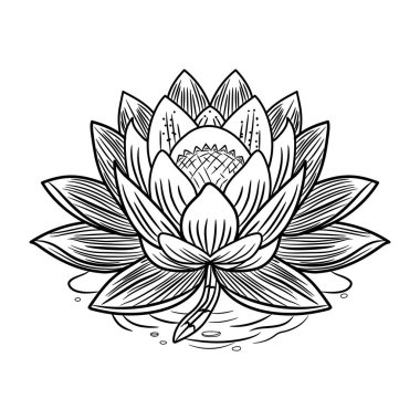 Güzel bir çiçeğin vektör çizimi