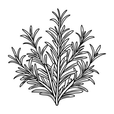 İzole yaprakları tasarım vektör illüstrasyon