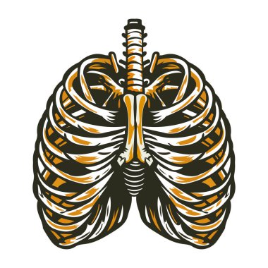 İnsan ciğerleri. Anatomi. vektör illüstrasyonu.