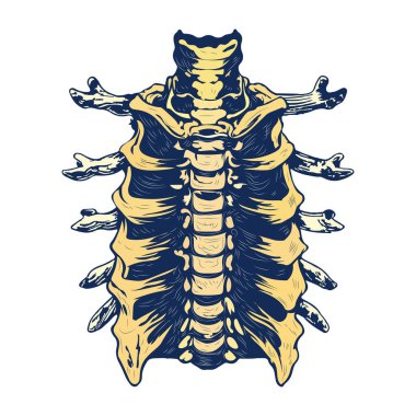 Bir kafatasının el çizimi vektör çizimi.