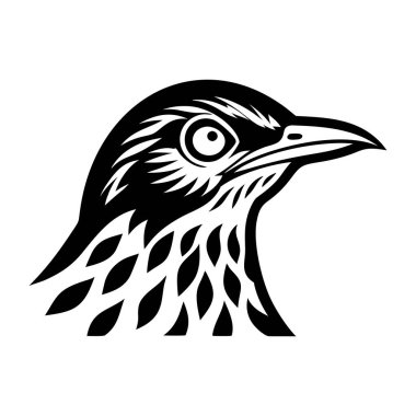 vektör kuş silueti