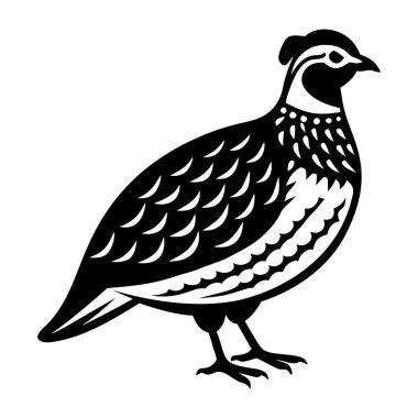 kuşun ahşap çizimi