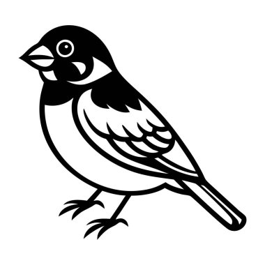 Kuş simgesi. siyah renk tasarımı. vektör illüstrasyonu.