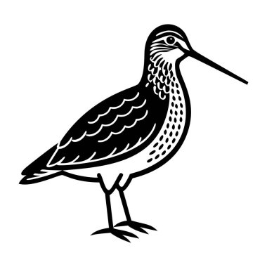 kuş vektör çizimi, simge ögesi arkaplanı