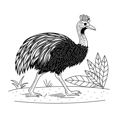 Siyah beyaz deve kuşunun vektör çizimi